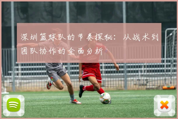 深圳篮球队的节奏探秘：从战术到团队协作的全面分析